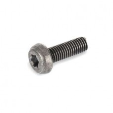Винт M 8x25-ST-R3R (IN6RD) Karcher